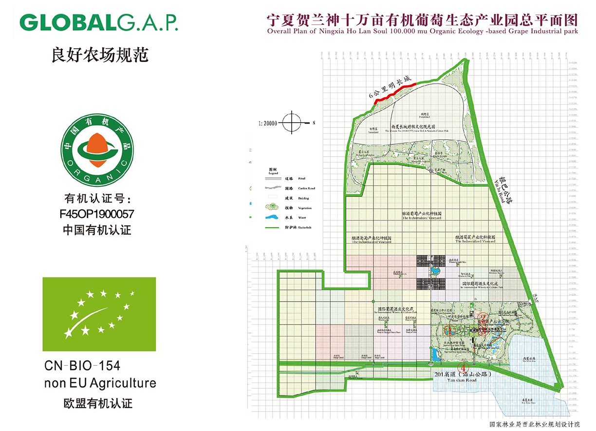 2024新澳原料免费资料